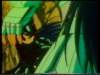 Photo Number 33